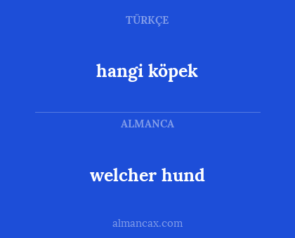 hangi köpek - welcher hund