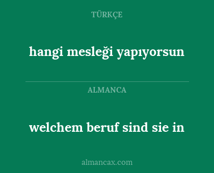 hangi mesleği yapıyorsun - welchem beruf sind sie in