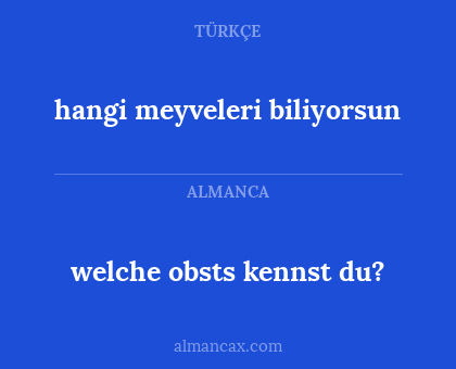 hangi meyveleri biliyorsun - welche obsts kennst du?