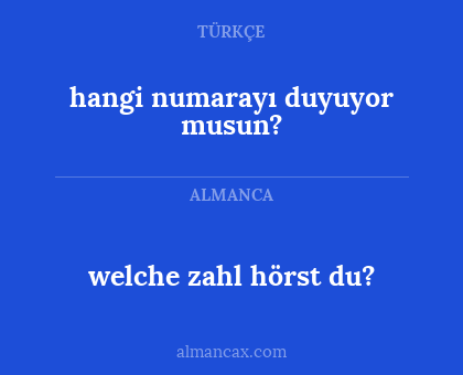 hangi numarayı duyuyor musun? - welche zahl hörst du?