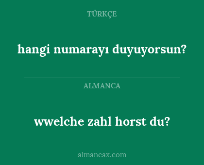wwelche zahl horst du? - hangi numarayı duyuyorsun?