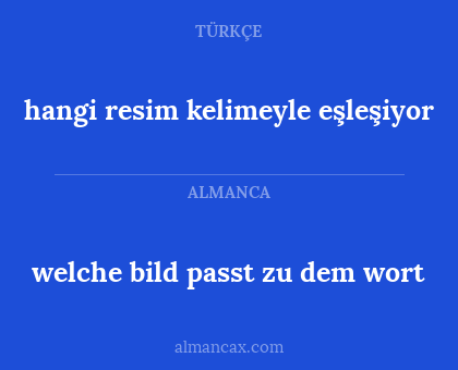 welche bild passt zu dem wort - hangi resim kelimeyle eşleşiyor