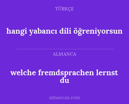 hangi yabancı dili öğreniyorsun - welche fremdsprachen lernst du