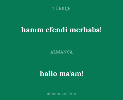 hanım efendi merhaba! - hallo ma'am!