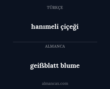 hanımeli çiçeği - geißblatt blume