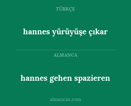 hannes yürüyüşe çıkar - hannes gehen spazieren
