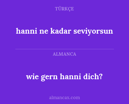 hanni ne kadar seviyorsun - wie gern hanni dich?