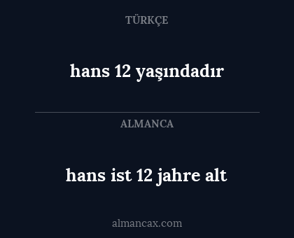 hans 12 yaşındadır - hans ist 12 jahre alt