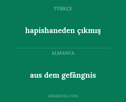 hapishaneden çıkmış - aus dem gefängnis