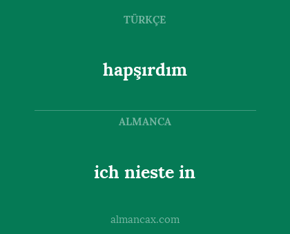 hapşırdım - ich nieste in