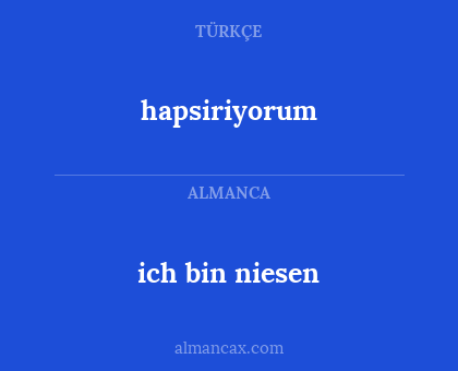 hapsiriyorum - ich bin niesen