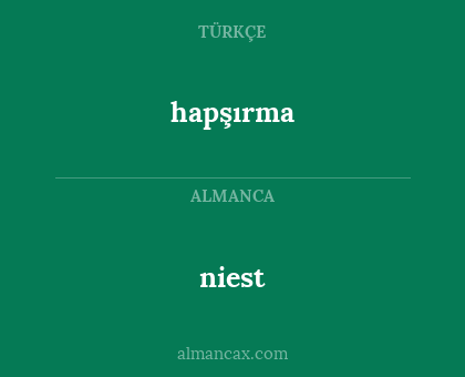 hapşırma - niest