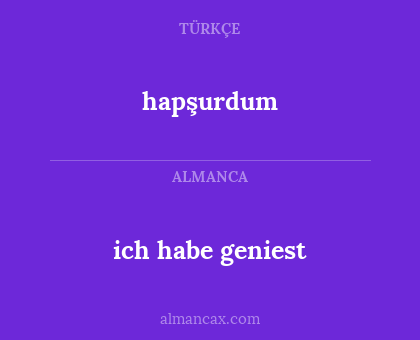 hapşurdum - ich habe geniest