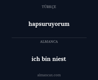 hapsuruyorum - ich bin niest