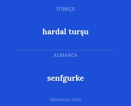 senfgurke - hardal turşu