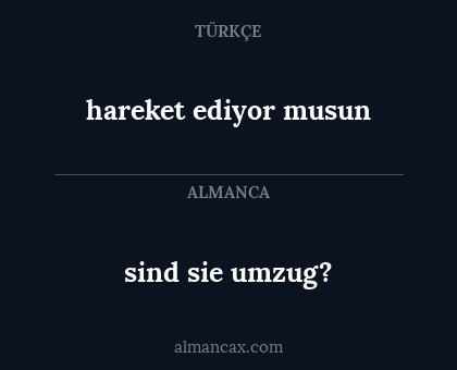 sind sie umzug? - hareket ediyor musun