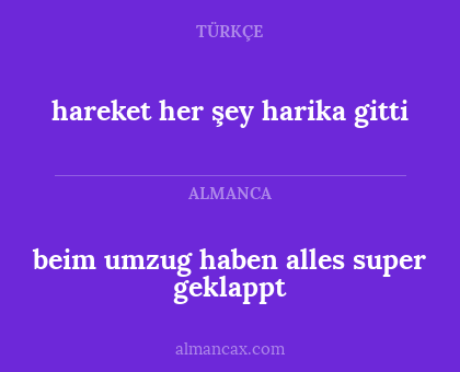 beim umzug haben alles super geklappt - hareket her şey harika gitti