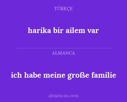 harika bir ailem var - ich habe meine große familie