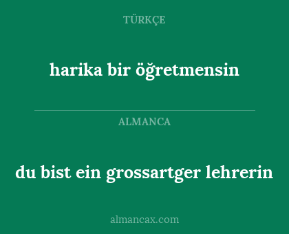 du bist ein grossartger lehrerin - harika bir öğretmensin