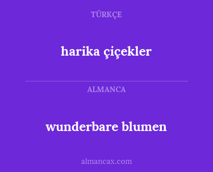 wunderbare blumen - harika çiçekler