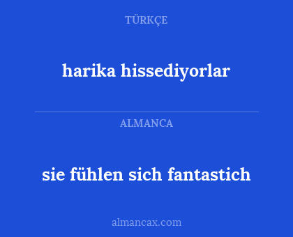 harika hissediyorlar - sie fühlen sich fantastich