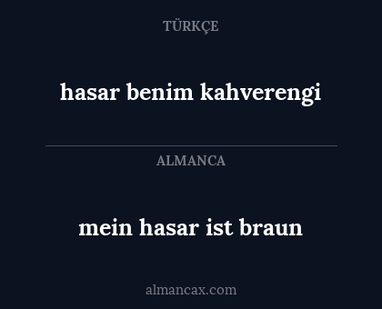 hasar benim kahverengi - mein hasar ist braun