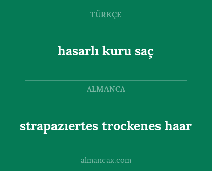 hasarlı kuru saç - strapazıertes trockenes haar
