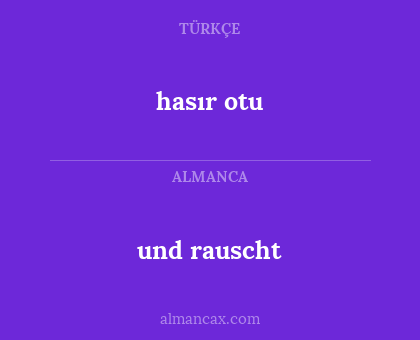 und rauscht - hasır otu