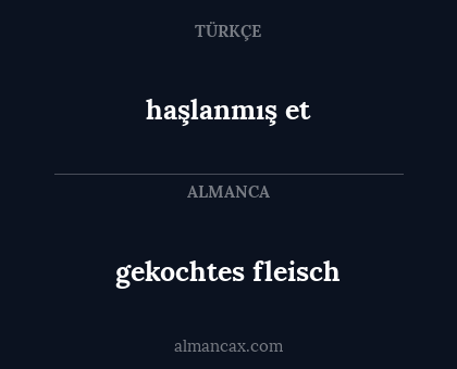 gekochtes fleisch - haşlanmış et