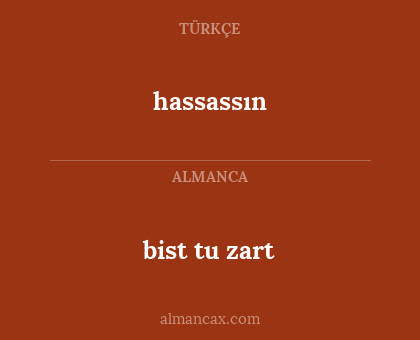 bist tu zart - hassassın