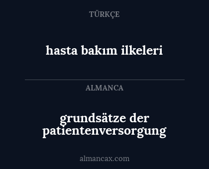 grundsätze der patientenversorgung - hasta bakım ilkeleri