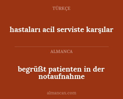 begrüßt patienten in der notaufnahme - hastaları acil serviste karşılar