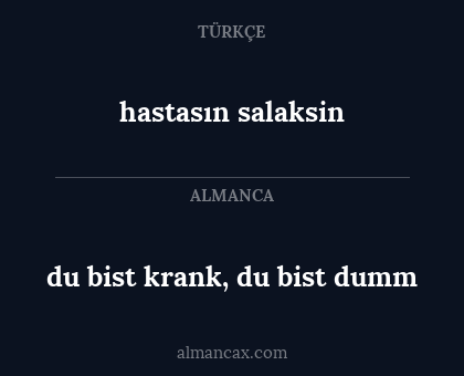 du bist krank, du bist dumm - hastasın salaksin