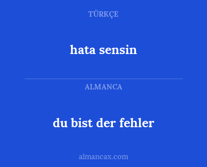 du bist der fehler - hata sensin