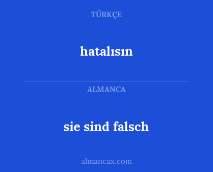 sie sind falsch - hatalısın