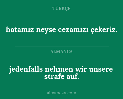 hatamız neyse cezamızı çekeriz. - jedenfalls nehmen wir unsere strafe auf.