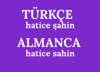 hatice+%C5%9Fahin-hatice+sahin.png