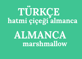 hatmi+%C3%A7i%C3%A7e%C4%9Fi+almanca-marshmallow-blume+deutsch.png