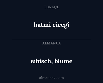 eibisch, blume - hatmi cicegi