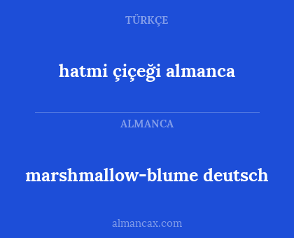 hatmi çiçeği almanca - marshmallow-blume deutsch