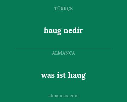 was ist haug - haug nedir