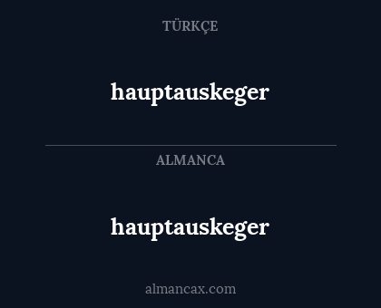 hauptauskeger - hauptauskeger