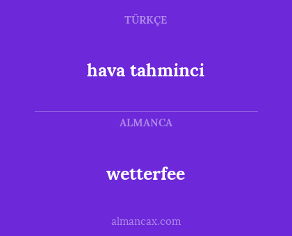 wetterfee - hava tahminci
