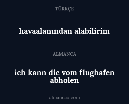 ich kann dic vom flughafen abholen - havaalanından alabilirim