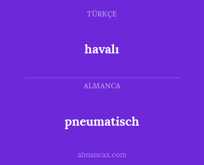 pneumatisch - havalı