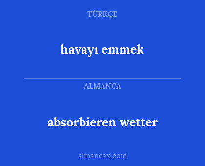 absorbieren wetter - havayı emmek