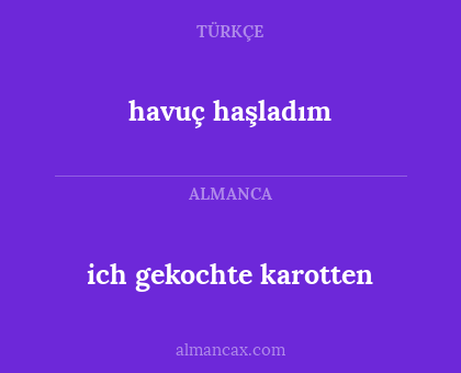 ich gekochte karotten - havuç haşladım