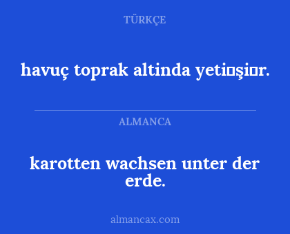 havuç toprak altinda yeti̇şi̇r. - karotten wachsen unter der erde.
