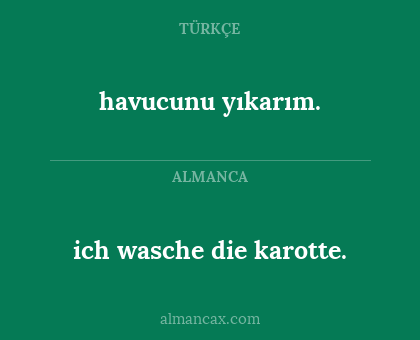 ich wasche die karotte. - havucunu yıkarım.