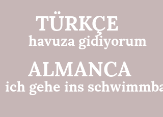 havuza+gidiyorum-ich+gehe+ins+schwimmbad.png